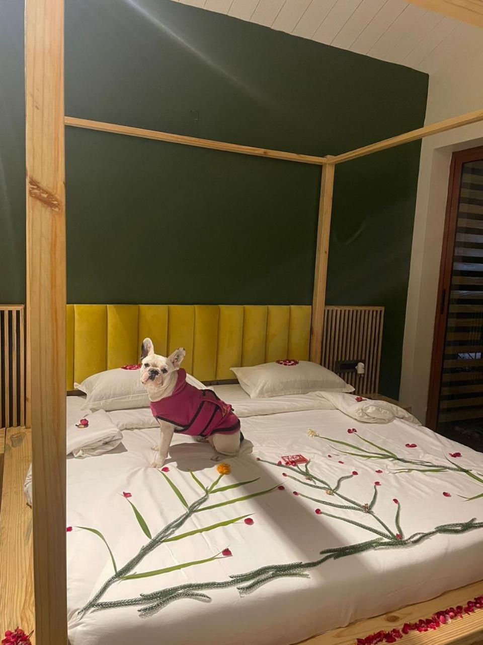 Rawai Luxury Tents Pushkar Eksteriør billede